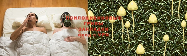бутират Карпинск